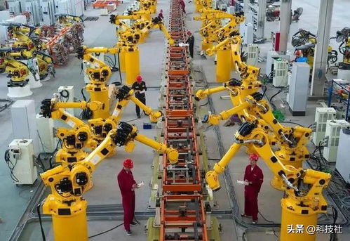 专家警告 印度入侵中国是自杀行为，经济依赖中国日用百货暴露弱点