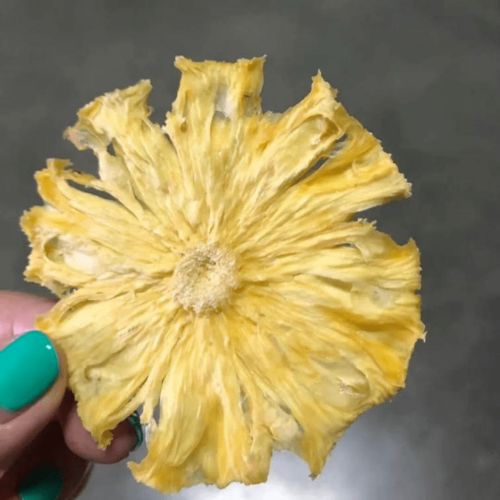 从枝头到杯中的甜蜜蜕变 揭秘果茶伴侣水果干的诞生之旅